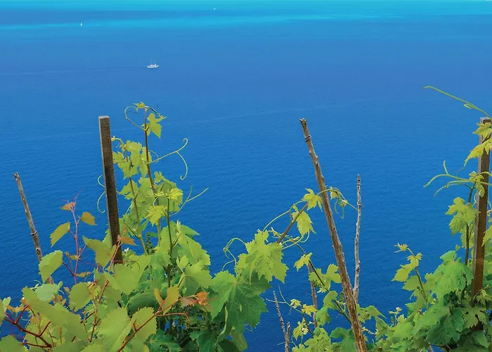 In With Wifi Orebić